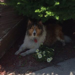 Meet your Posher, Joann